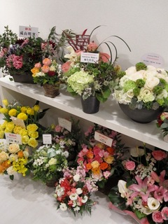 IMG_4026.jpeg